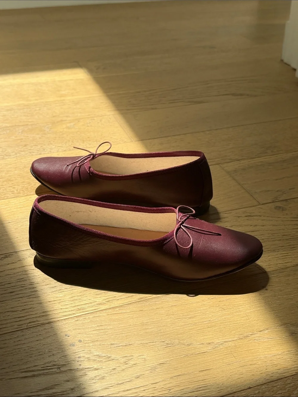 eledera never worn